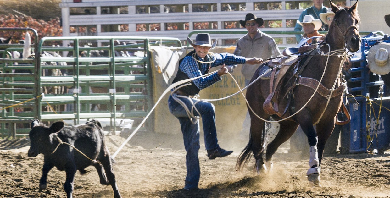 Men's Rodeo