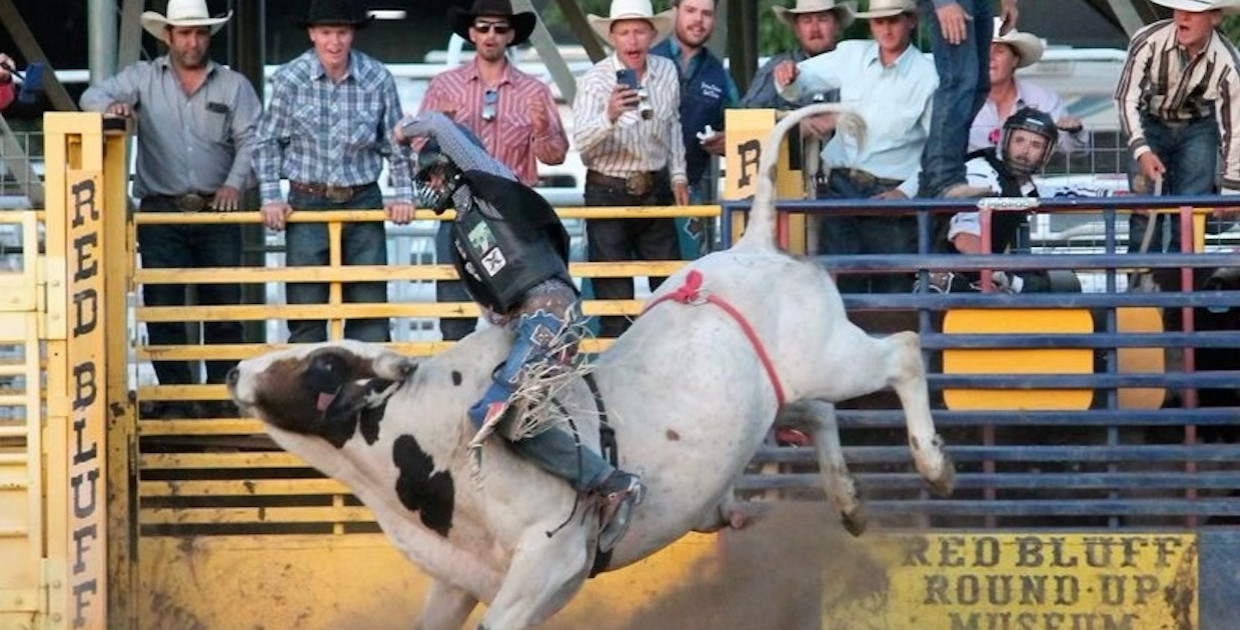 Men's rodeo picks up momentum midway through season