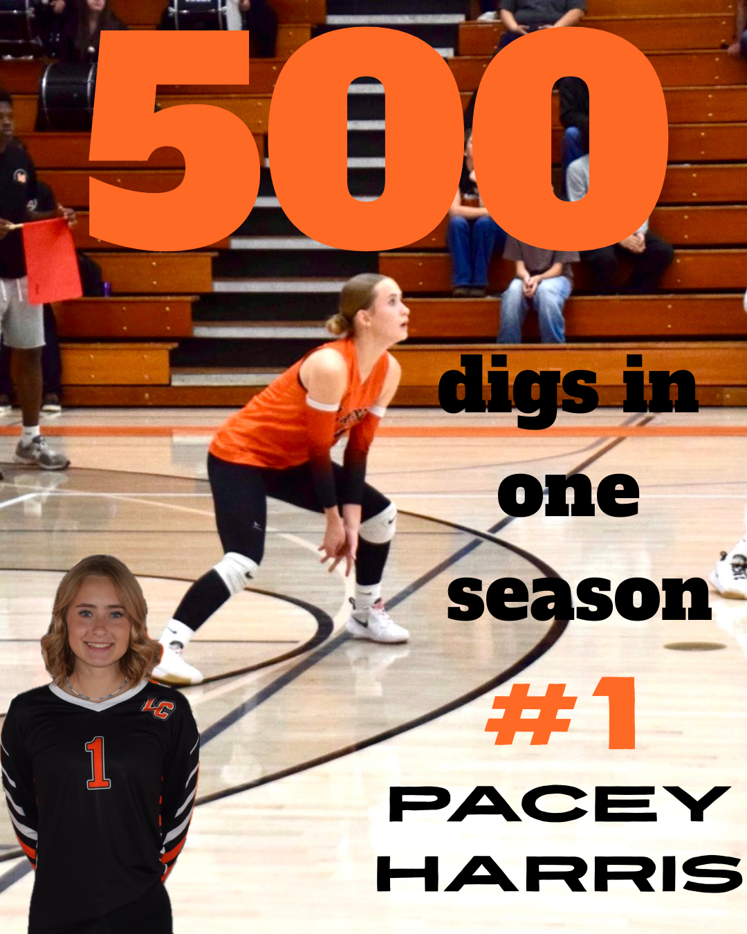 Pacey Harris Records 500 Digs in Standout Season for Lassen Volleyball